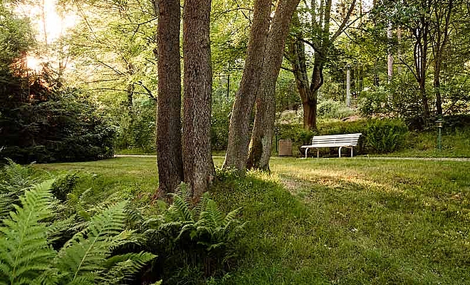 Dr. Ebel Klinik Bad Brambach Parkentspannung Dr. Ebel Klinik Bad Brambach Parkentspannung
